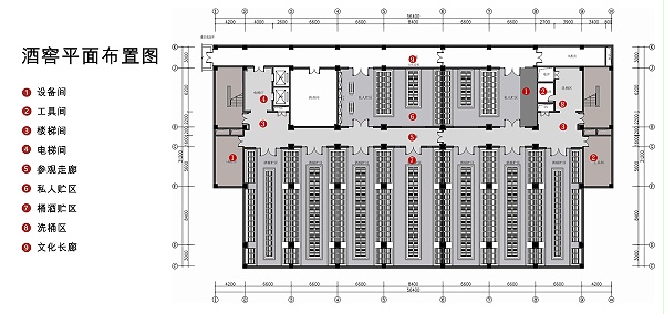 酒窖平面布置图